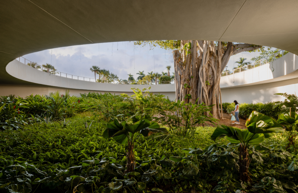 · Caption: Banyan tree at the grand entrance of Pier Sixty-Six, a luxury resort in Fort Lauderdale.· Photo Credit: Mauricio Rojas