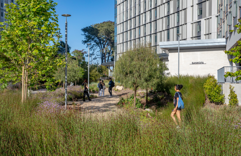 Students walking along an outdoor path at University of California San Diego Theatre District Living and Learning Neighborhood. Photo Credit: SWA Group – David Lloyd