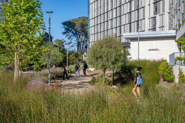Students walking along an outdoor path at University of California San Diego Theatre District Living and Learning Neighborhood. Photo Credit: SWA Group – David Lloyd