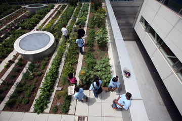 Rooftop Gardens: Ecology, Food, and Learning - Green Building News